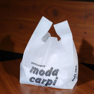 Moda Carpi
