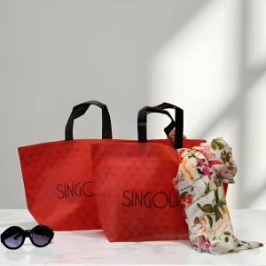 Singolare